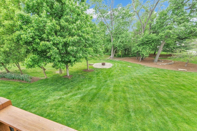 view of green lawn