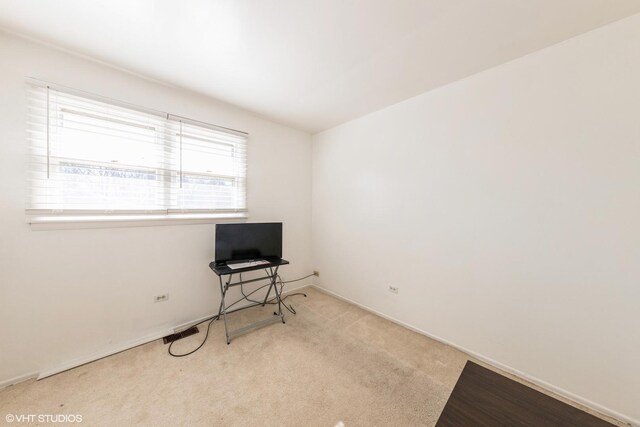 interior space featuring baseboards and carpet