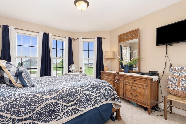 7659 Fairway Dr, Yorkville, IL 60560 - bedroom featuring light carpet