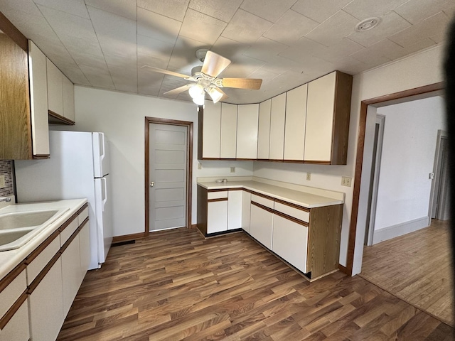 503 N William St, Farmer City, IL 61842 - kitchen featuring a sink, dark wood finished floors, a ceiling fan, and light countertops