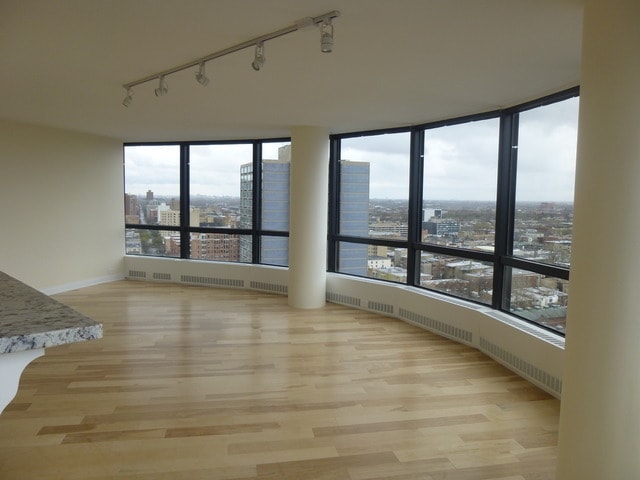 spare room featuring visible vents, a city view, light wood finished floors, and rail lighting