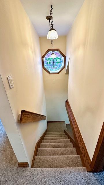 6511 174th St, Tinley Park, IL 60477 - stairway with carpet floors and baseboards