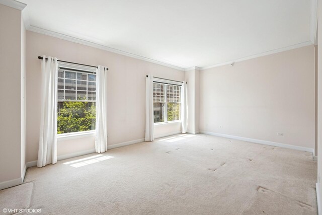 44 N Vail Ave Unit 313, Arlington Heights, IL 60005 - unfurnished room featuring crown molding, carpet floors, and baseboards