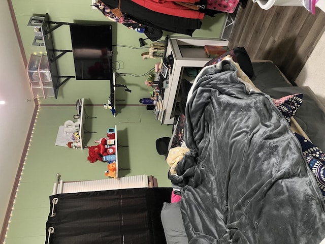 513 E Main St, Morrison, IL 61270 - view of bedroom