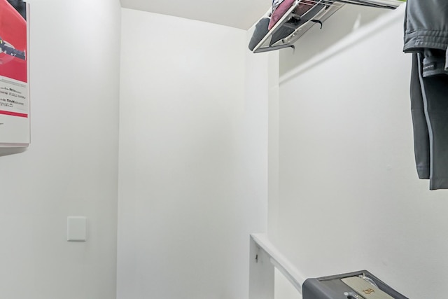 810 E Kings Row Unit 6, Palatine, IL 60074 - view of spacious closet