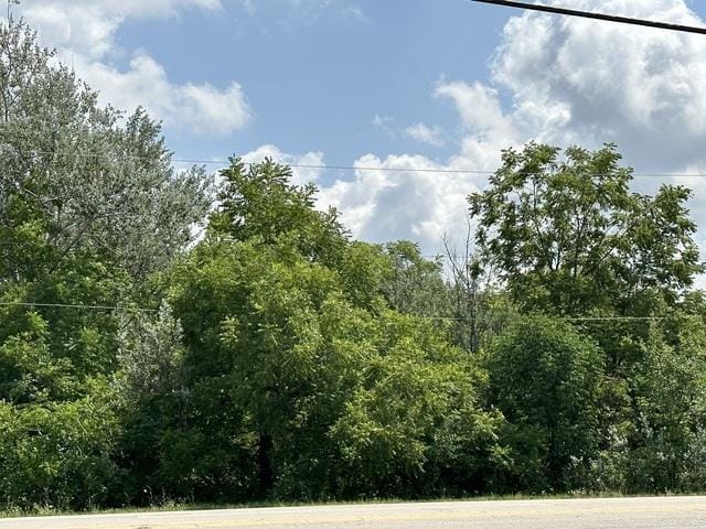 14453 S Bell Rd, Homer Glen, IL 60419