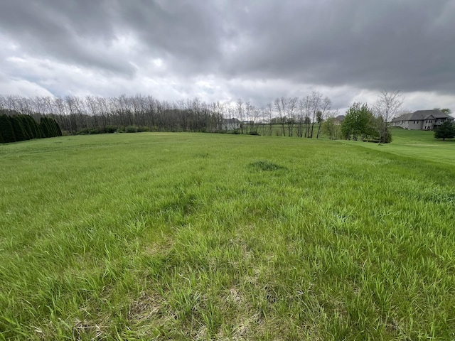 view of yard with a rural view