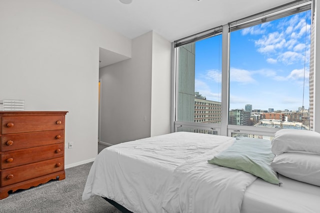 bedroom featuring carpet floors, baseboards, floor to ceiling windows, and a city view