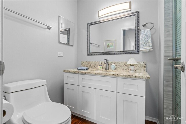 bathroom featuring vanity, wood finished floors, and toilet