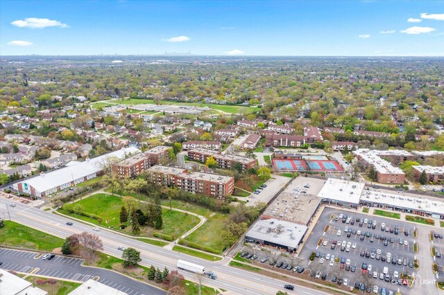 bird's eye view