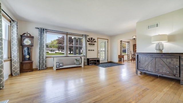 1008 Mary Ave, Dixon, IL 61021 - foyer with wood-type flooring and baseboards