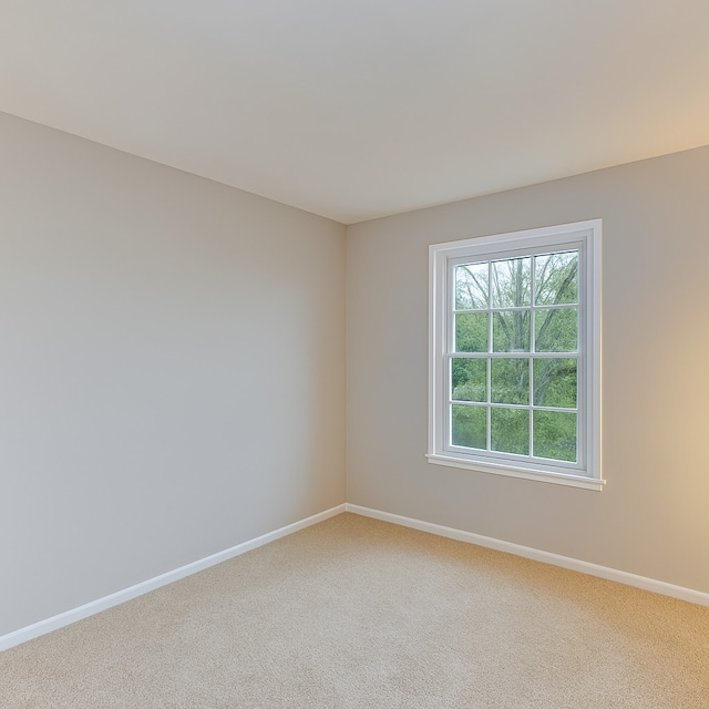 3615 Fairfax Ct E, Aurora, IL 60504 - spare room featuring light carpet and baseboards