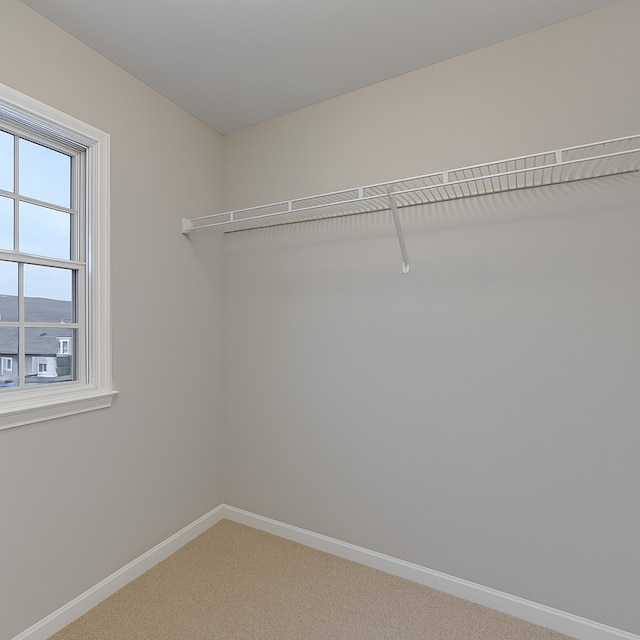 3615 Fairfax Ct E, Aurora, IL 60504 - spacious closet with light carpet