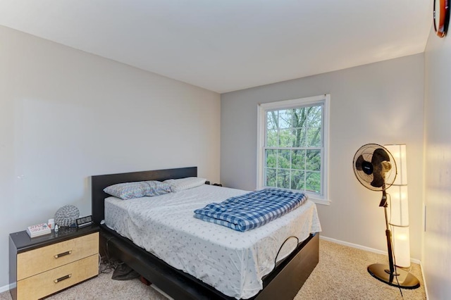 3615 Fairfax Ct E, Aurora, IL 60504 - bedroom featuring light carpet and baseboards