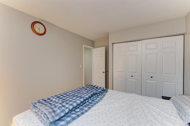 3615 Fairfax Ct E, Aurora, IL 60504 - bedroom with a closet