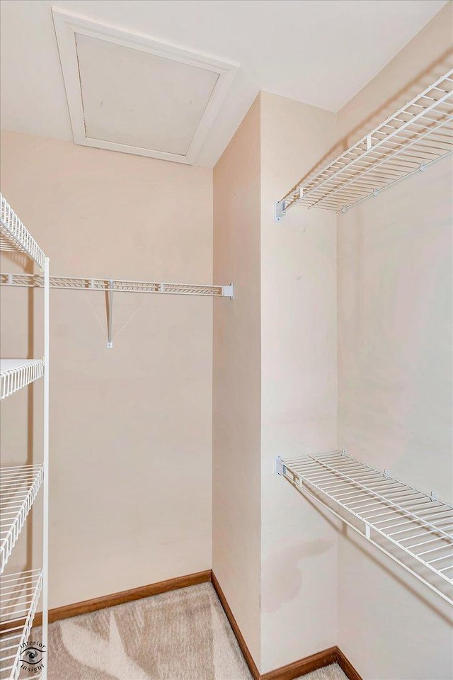 19640 Patricia Ln, Mokena, IL 60448 - spacious closet with light colored carpet