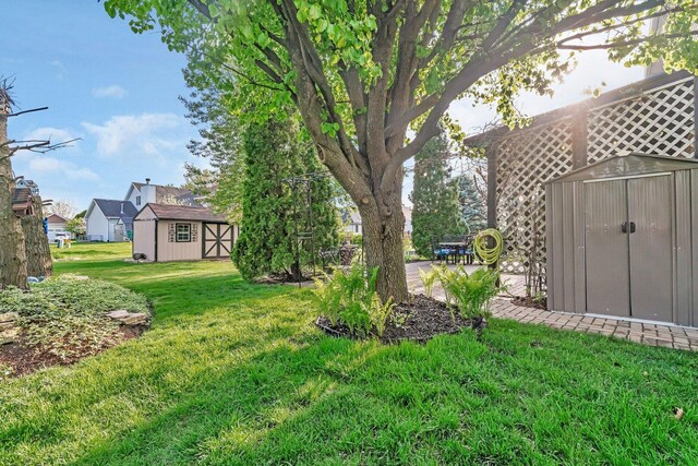 view of yard featuring an outdoor structure and a storage unit