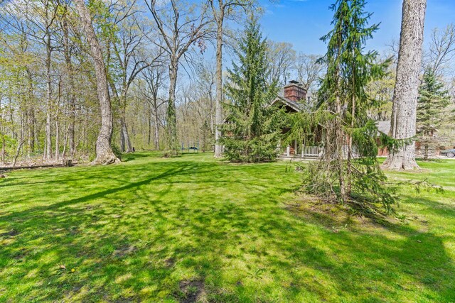 23410 N Elm Rd, Lincolnshire, IL 60069 - photo 41