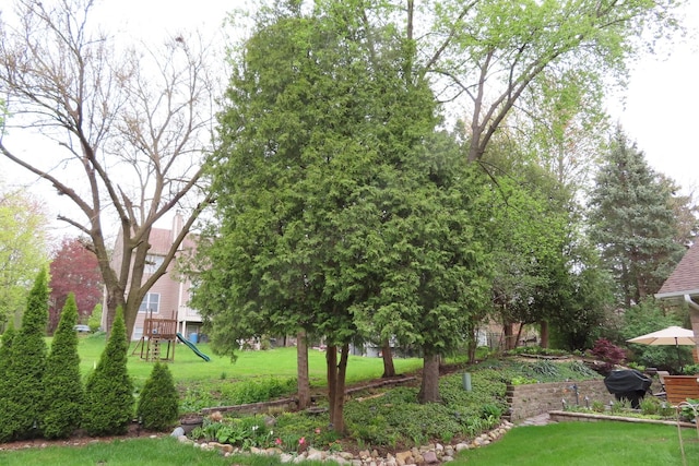 view of green lawn with a playground