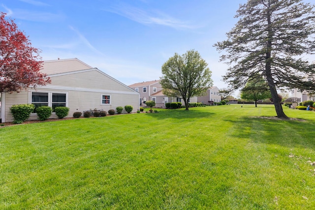 view of grassy yard