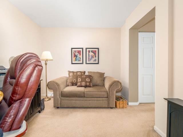 interior space featuring baseboards and carpet