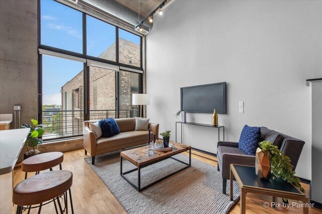 living area featuring wood finished floors, a high ceiling, a healthy amount of sunlight, and track lighting