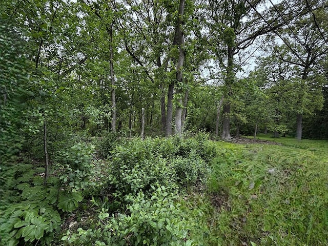 910 N Brainard Ave, La Grange Park, IL 60526