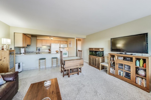 6030 N Sheridan Rd Unit 411, Chicago, IL 60660 - living room with light carpet