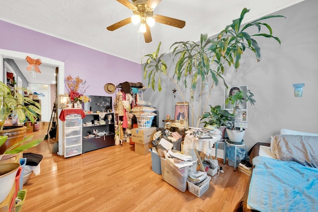 interior space with a ceiling fan and wood finished floors