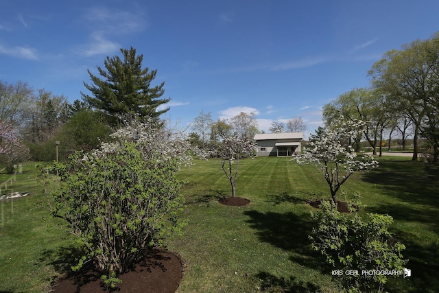 view of grassy yard