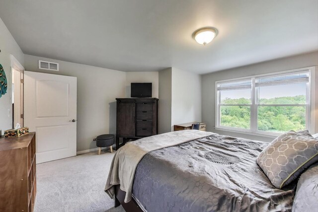 713 Mohican Trl, Lake In The Hills, IL 60156 - photo 28