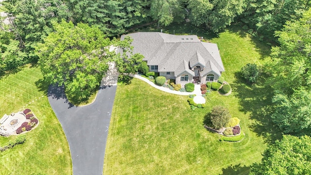 bird's eye view