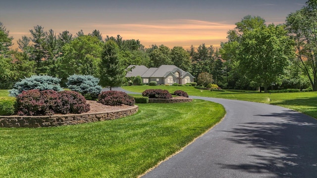 view of front facade featuring a front lawn