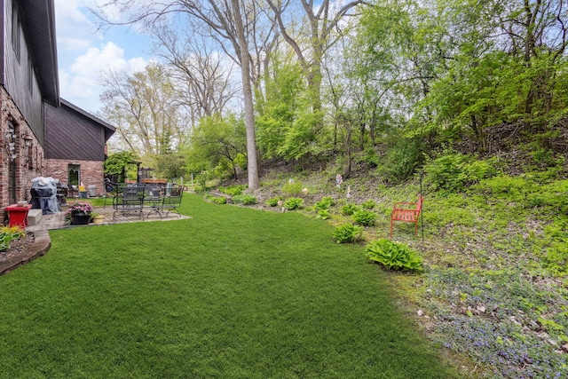 31A Lucas Dr, Palos Hills, IL 60465 - photo 35