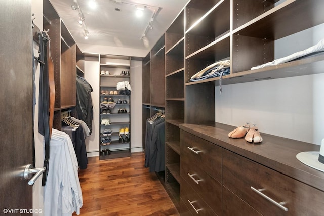 spacious closet featuring dark wood-style floors
