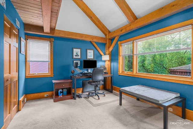 405 Cambridge Way, Bolingbrook, IL 60440 - carpeted home office with baseboards