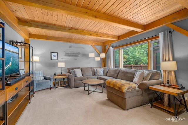 405 Cambridge Way, Bolingbrook, IL 60440 - living area with beam ceiling, carpet, and wood ceiling