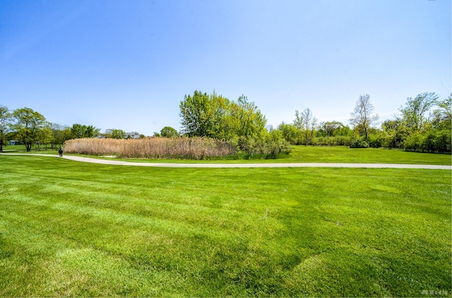 16165 Haven Ave, Orland Hills, IL 60487 - surrounding community featuring a lawn