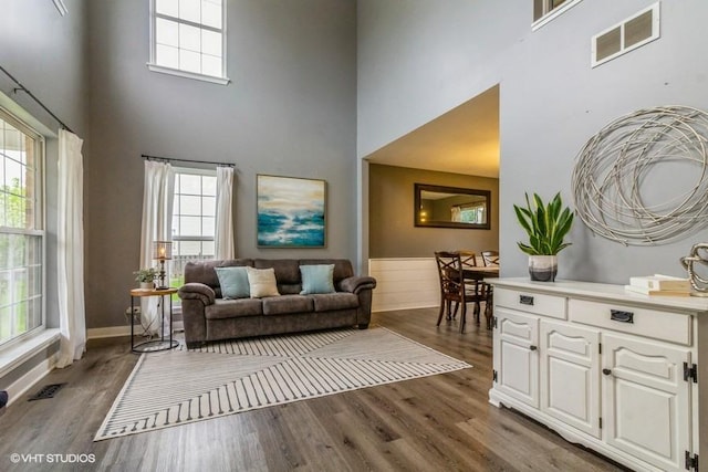 4524 Deames St, Plano, IL 60545 - living area with a wealth of natural light, a high ceiling, wood finished floors, and visible vents
