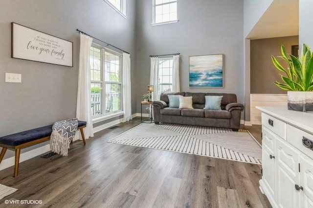 4524 Deames St, Plano, IL 60545 - living room featuring a high ceiling, visible vents, and wood finished floors