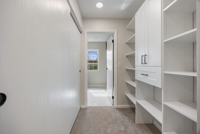 282 Ascot Ln, Streamwood, IL 60107 - spacious closet with light colored carpet