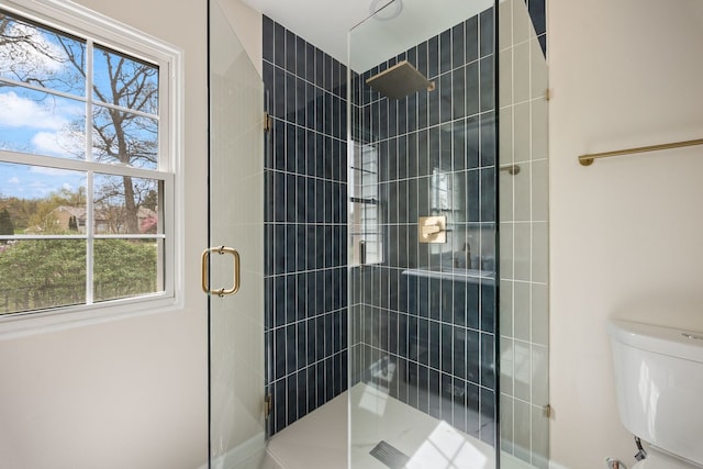 282 Ascot Ln, Streamwood, IL 60107 - full bathroom with a shower stall, plenty of natural light, and toilet