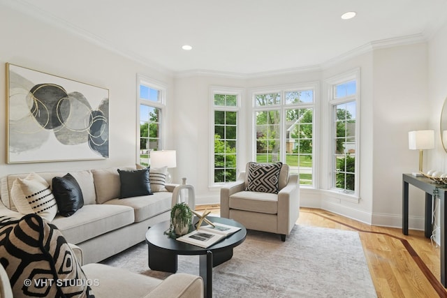 1238 N Illinois Ave, Arlington Heights, IL 60004 - living room featuring ornamental molding, wood finished floors, and recessed lighting