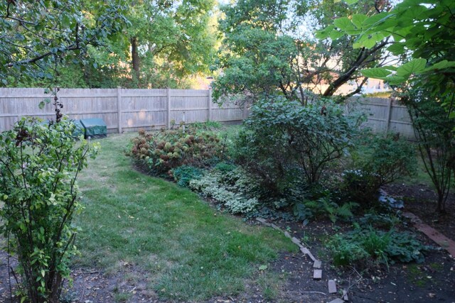 view of yard featuring a fenced backyard