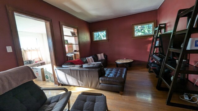 living area featuring wood finished floors