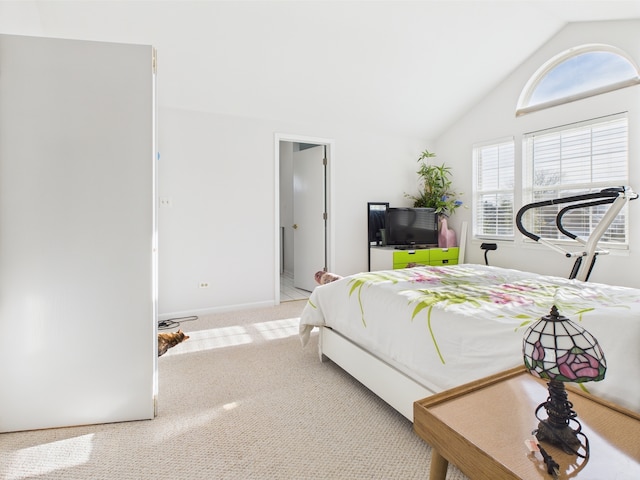 20359 Countryside Ln, Frankfort, IL 60423 - carpeted bedroom featuring baseboards and lofted ceiling
