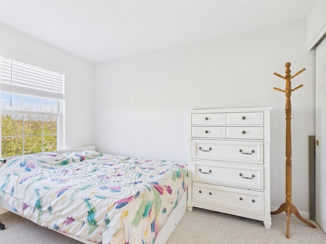 20359 Countryside Ln, Frankfort, IL 60423 - bedroom with light carpet
