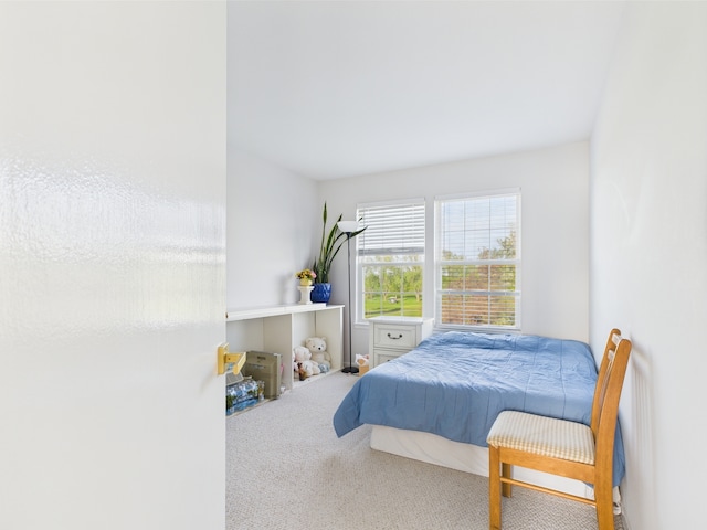 20359 Countryside Ln, Frankfort, IL 60423 - view of carpeted bedroom