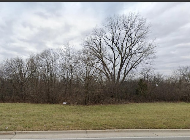 24625 S Western Ave, University Park IL, 60484 land for sale