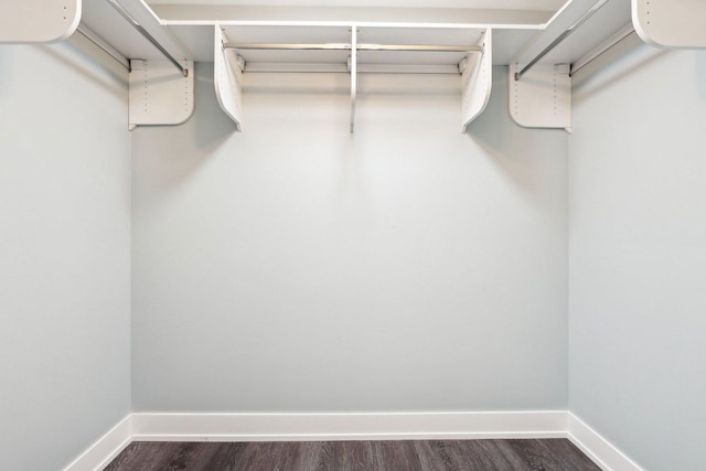 walk in closet featuring dark wood finished floors